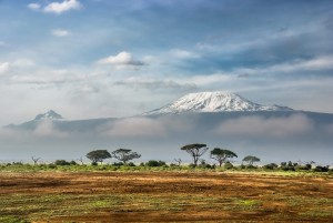 rejser til kilimanjaro